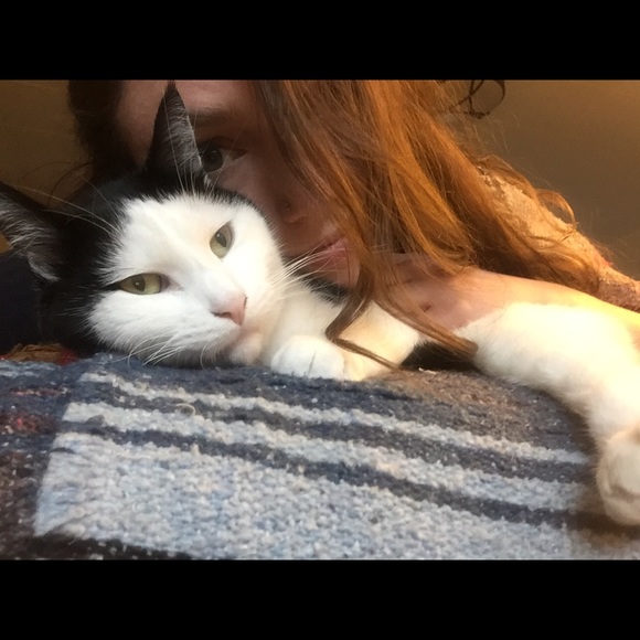 🌸🌸Meet the posher🌸🌸 - Picture 3 of 3